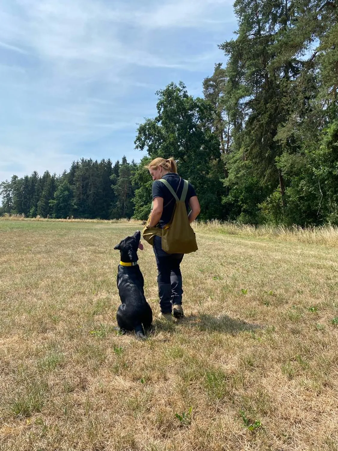 Hund und Honig, Nadine Roth beim Spaziergang mit einem Hund auf dem Feld