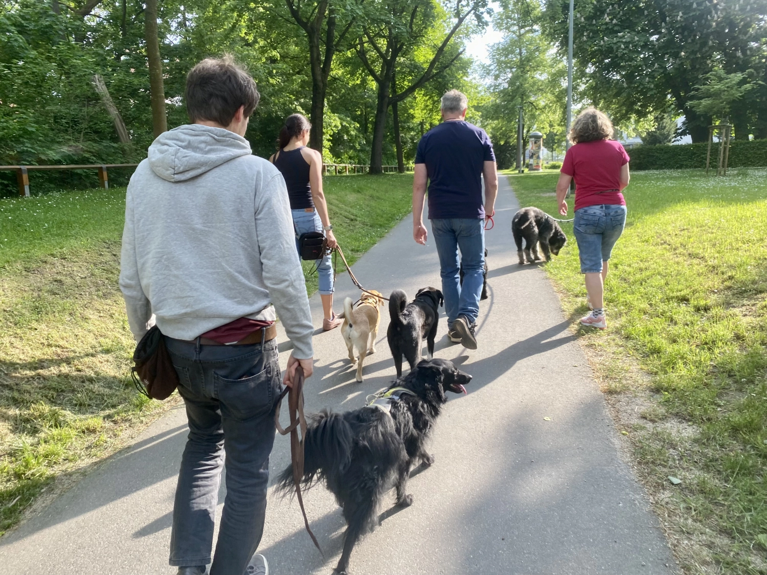 Hund und Honig, Menschen, die mit ihren Hunden spazieren gehen