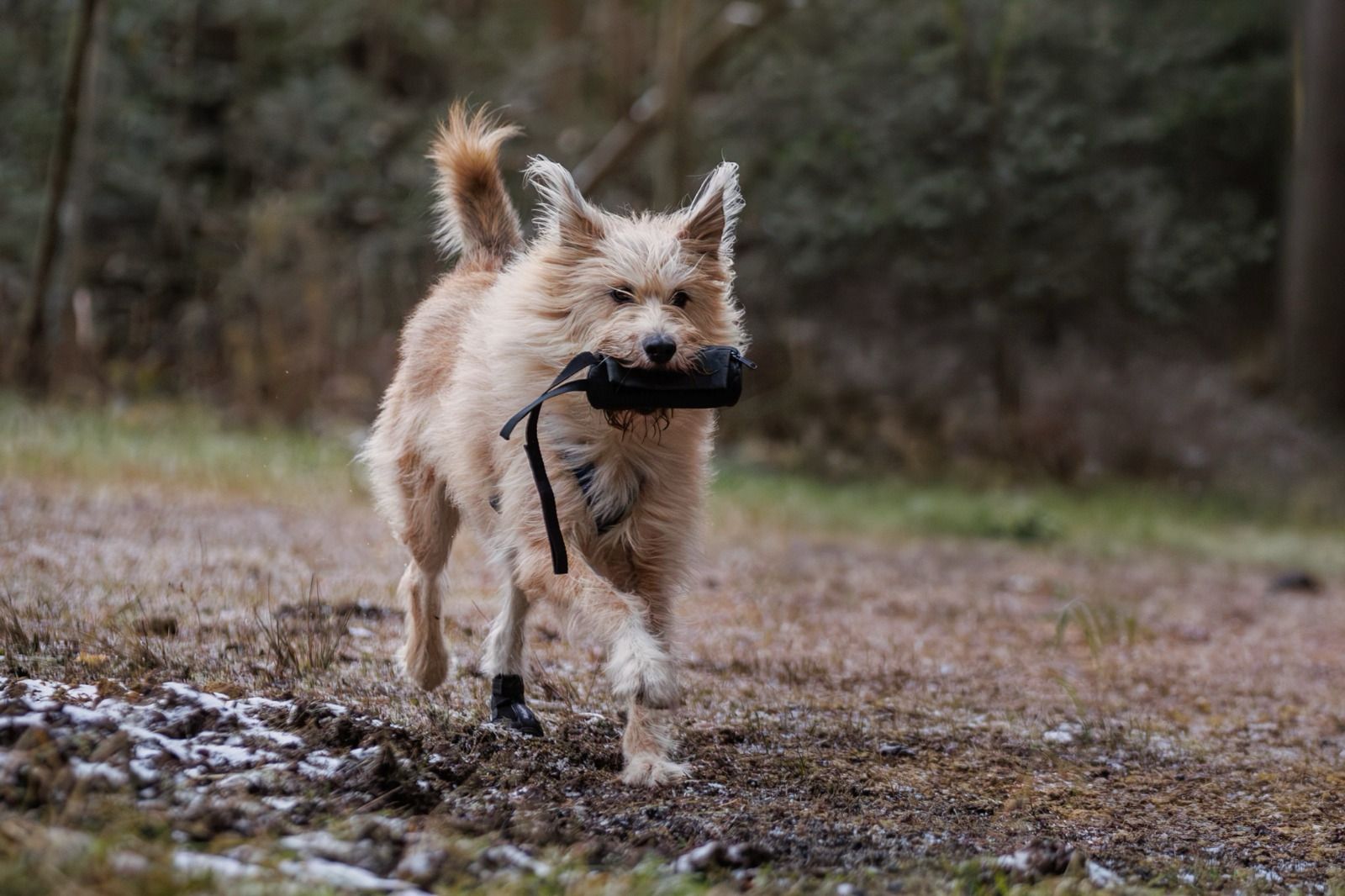 Dummywalk in der Natur