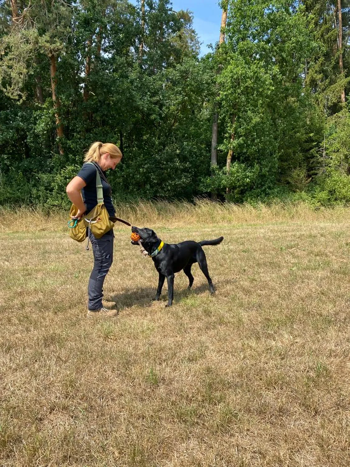 Hund und Honig, Nadine Roth spielt mit Hund